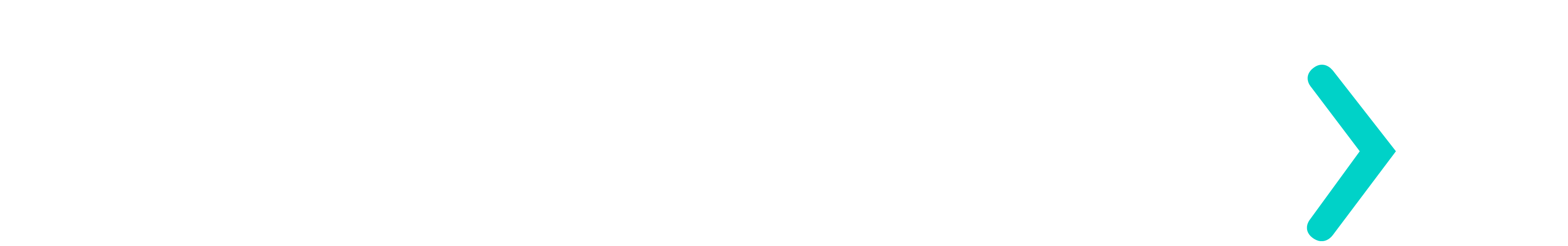 3- Logotipo-EllevoNext-Estendida-RGB-VerdeBranco.p-1
